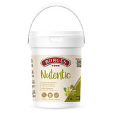 BORGES Nutentic Crema de Pistacho 15% 1kg