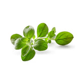 CARMENCITA Orégano 95g
